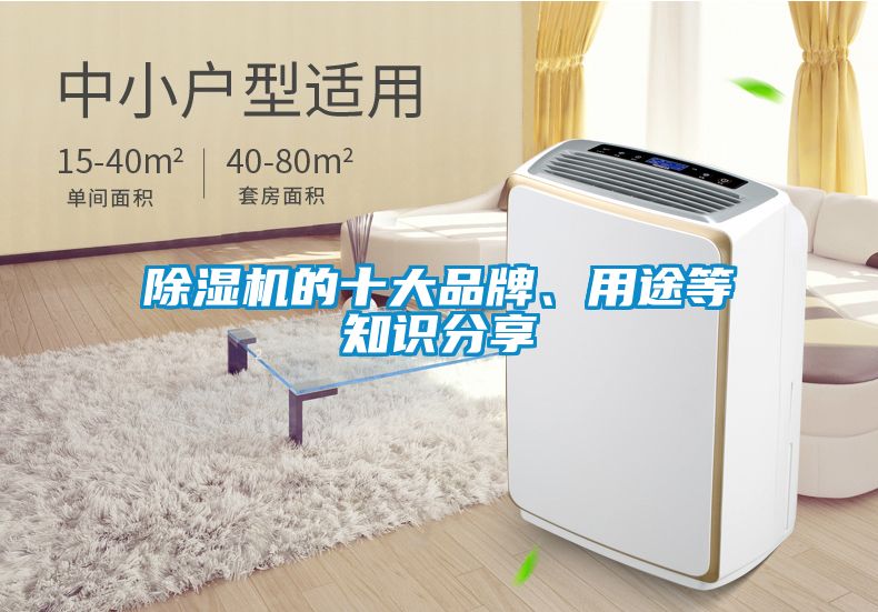 除濕機(jī)的十大品牌、用途等知識(shí)分享