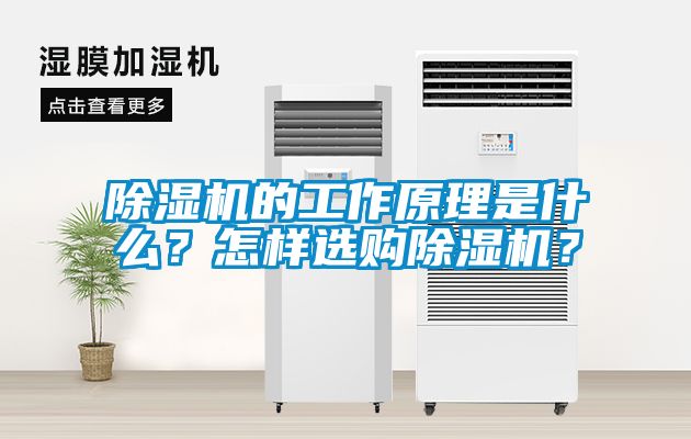 除濕機(jī)的工作原理是什么？怎樣選購除濕機(jī)？