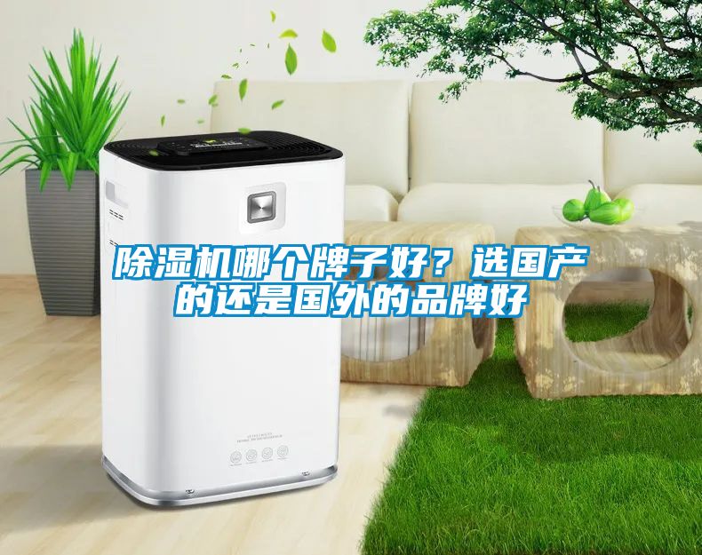 除濕機(jī)哪個(gè)牌子好？選國產(chǎn)的還是國外的品牌好