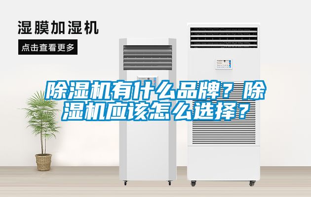 除濕機(jī)有什么品牌？除濕機(jī)應(yīng)該怎么選擇？