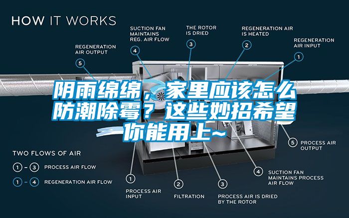 陰雨綿綿，家里應(yīng)該怎么防潮除霉？這些妙招希望你能用上~