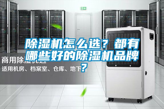 除濕機怎么選？都有哪些好的除濕機品牌？