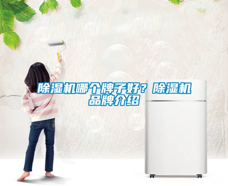 除濕機哪個牌子好？除濕機品牌介紹