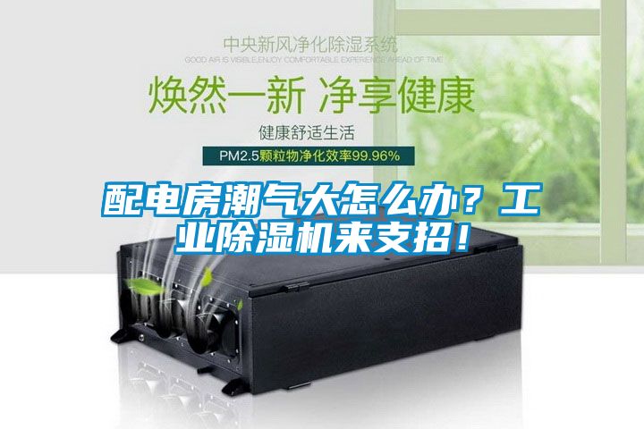 配電房潮氣大怎么辦？工業(yè)除濕機來支招！