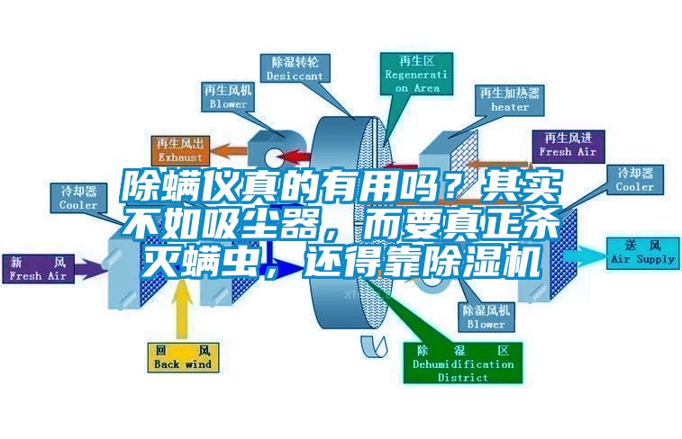 除螨儀真的有用嗎？其實(shí)不如吸塵器，而要真正殺滅螨蟲，還得靠除濕機(jī)